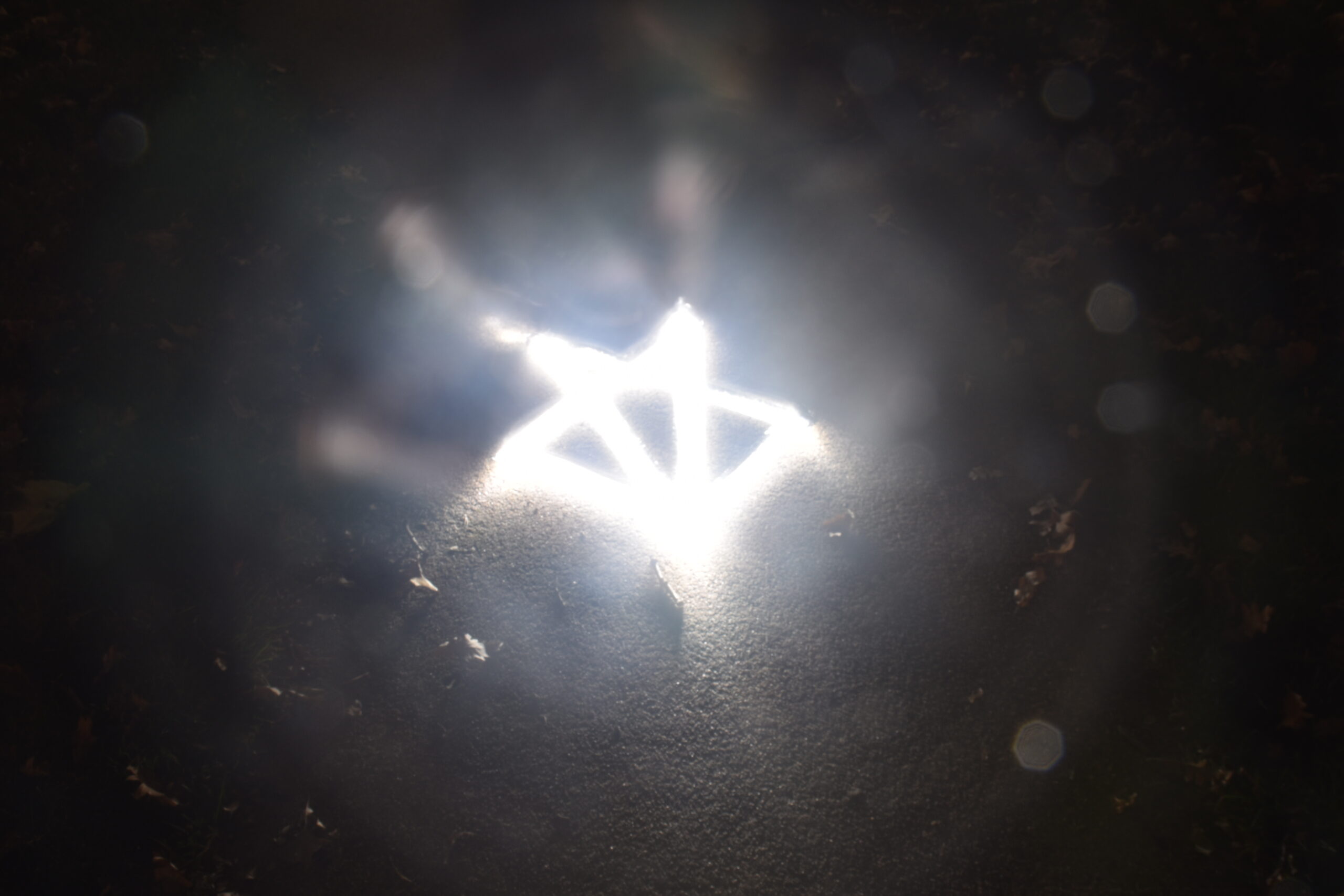 Light-logo-3